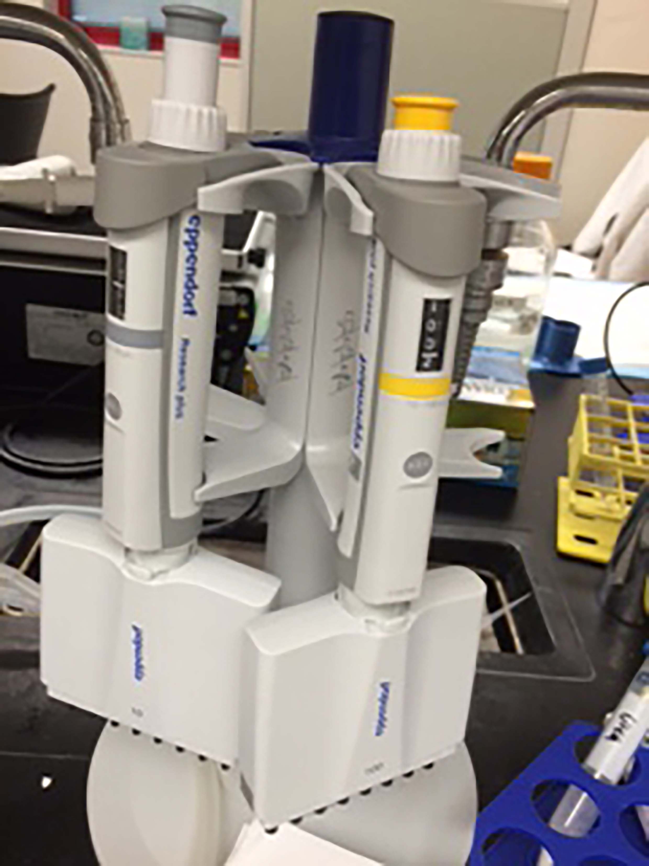 Eppendorf Research® plus multichannel pipette, 0.510 µl, Medium Gray